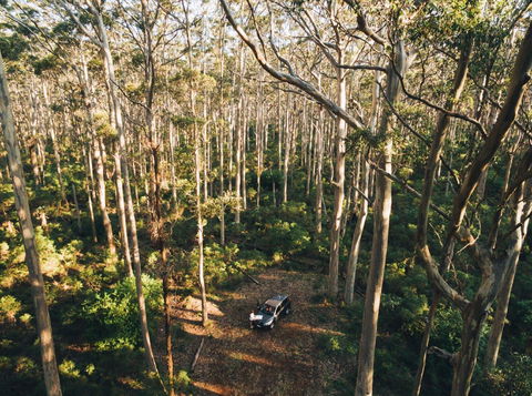 Leeuwin-Naturaliste National Park - Cowaramup - Mackay Tourism 0