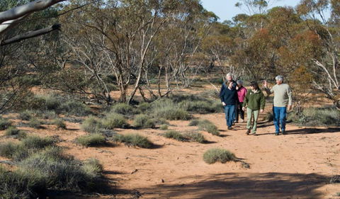 Mallee Stop Walking Track - Mackay Tourism 0