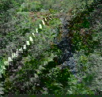 Mapleton Falls National Park - Mackay Tourism