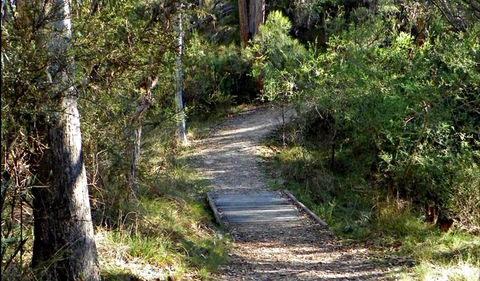 McDirtys Walking Track - Mackay Tourism 0