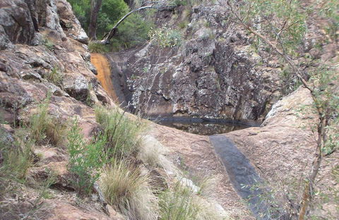 Mill-bullah Walking Track - Mackay Tourism 0