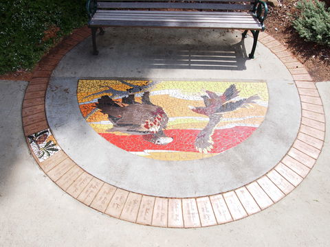 Mosaic Pathway (WASS) - Mackay Tourism 2
