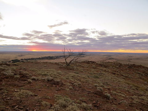 Mundi Mundi Plains - Mackay Tourism 0