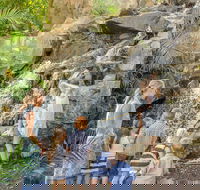 Queens Park Waterfall - Mackay Tourism