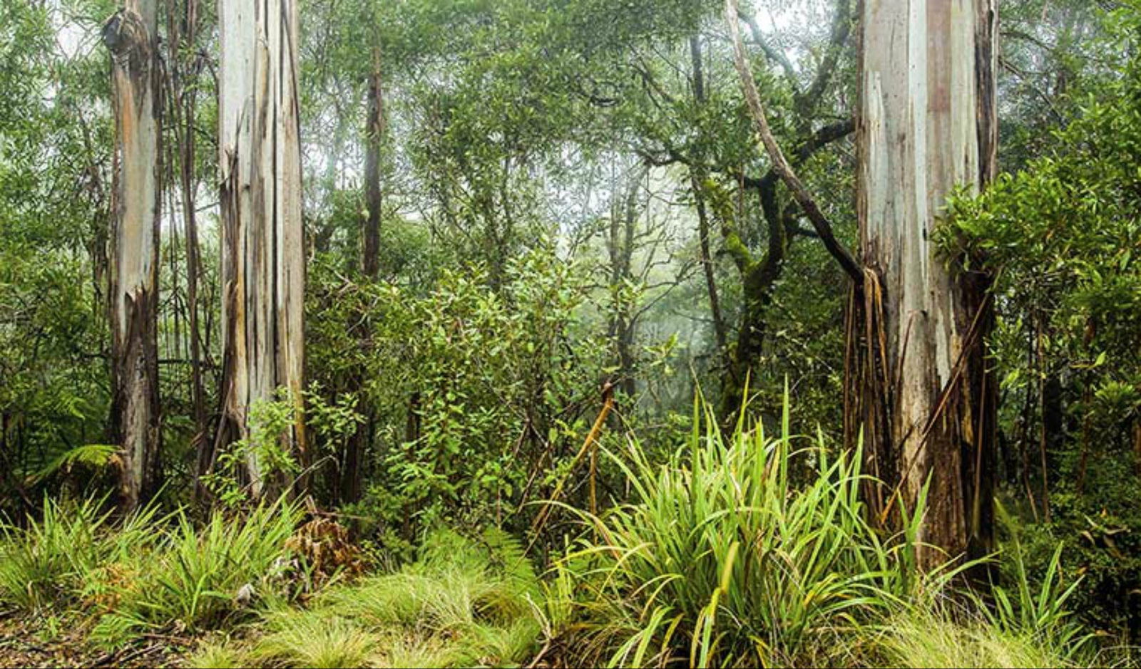 Edenville NSW Mackay Tourism