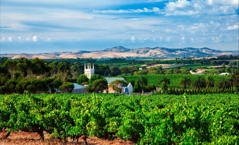 Seppeltsfield Road Barossa Valley - Mackay Tourism 1