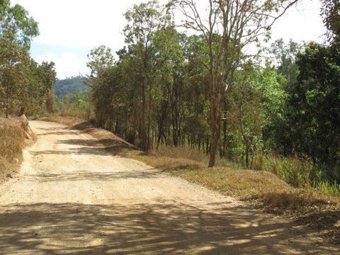 The Bloomfield Track - Mackay Tourism 0