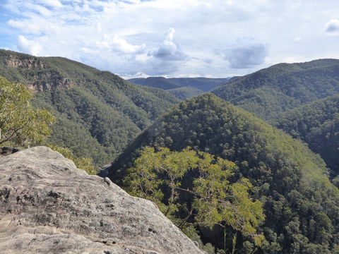 Vale Of Avoca - Mackay Tourism 0