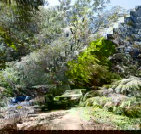 Wadbilliga Road drive - Mackay Tourism
