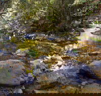 Washpool Walking Track - Mackay Tourism