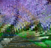 Alowyn Gardens and Nursery - Mackay Tourism