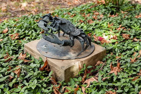 Antony Symons - Retrospective Of A Life's Work - Mackay Tourism 0