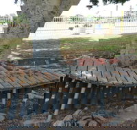 Barcaldine Musical Instruments - Mackay Tourism