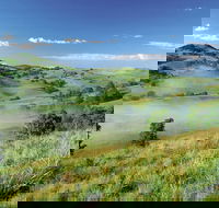 Bega - Mackay Tourism