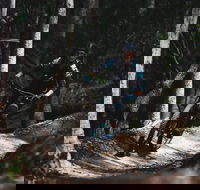 Boomerang Farm Bike Park - Mackay Tourism