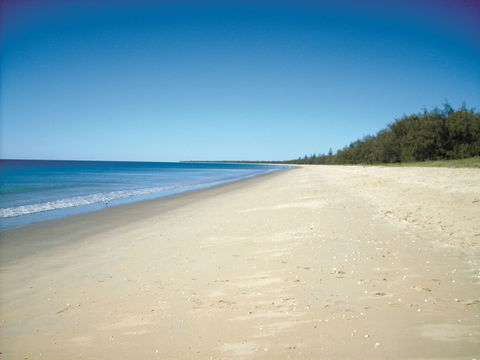 Coral Coast Pathways (Woodgate Beach Section) - Mackay Tourism 0