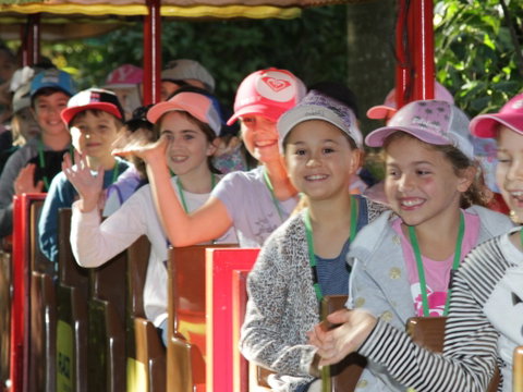 Currumbin Wildlife Sanctuary - Mackay Tourism 1