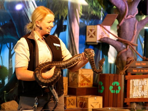 Currumbin Wildlife Sanctuary - Mackay Tourism 2