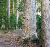 Delta Track - Mackay Tourism