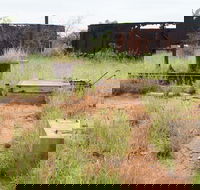 Ghans Bore No7 Govt Bore - Mackay Tourism