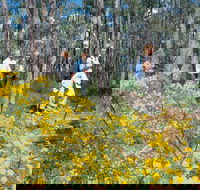 Gidgegannup - Mackay Tourism