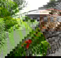 Gully Gardens - Mackay Tourism