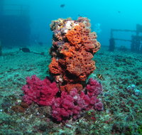 HMAS Brisbane Dive Site - Mackay Tourism