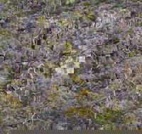 Horsnell Gully and Giles Conservation Parks - Mackay Tourism
