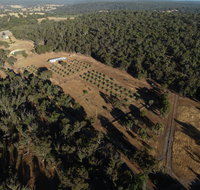 Julimar Date Garden - Mackay Tourism