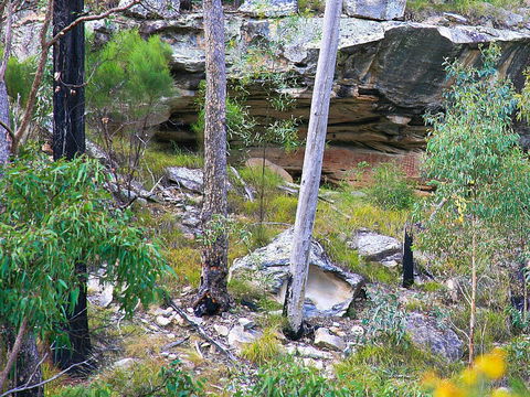 Ka Ka Mundi, Carnarvon National Park - Mackay Tourism 1