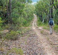 Kangaroo River Walking Track - Mackay Tourism