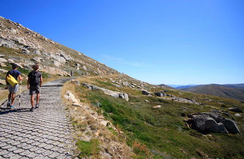 Kosciuszko Walk - Thredbo To Mount Kosciuszko - Mackay Tourism 0