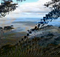 Mount Imlay National Park - Mackay Tourism