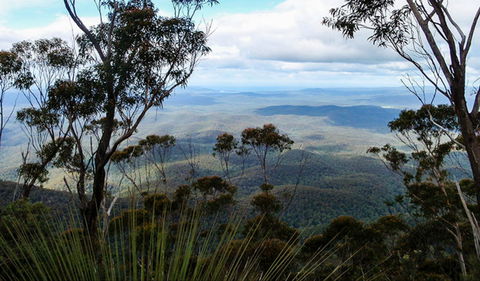 Mount Imlay National Park - Mackay Tourism 0