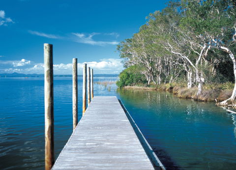 Noosa Everglades - Mackay Tourism 1