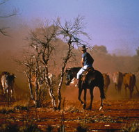 Outback Heritage and Coal Adventure - Mackay Tourism