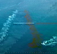 Port Noarlunga Reef Sanctuary Zone - Encounter Marine Park - Mackay Tourism