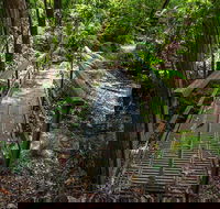 Rocky Crossing walk - Mackay Tourism