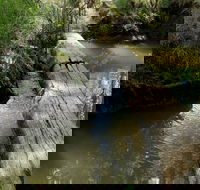 Second Ponds Creek Walk - Mackay Tourism