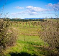 Tarago Truffles - Mackay Tourism
