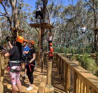 Trees Adventure - Yanchep Park - Mackay Tourism