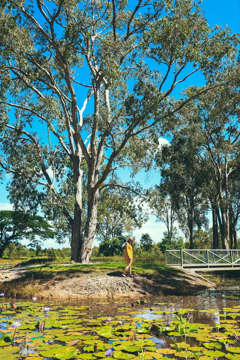 TYTO Wetlands - Mackay Tourism 1