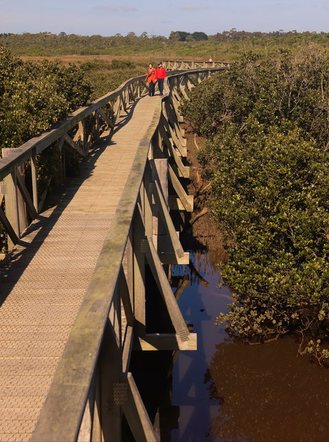 Warringine Park & Bittern Coastal Wetlands Boardwalk - Mackay Tourism 0