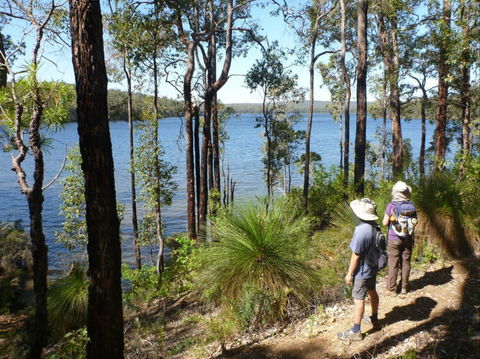 Wellington Discovery Forest - Mackay Tourism 0