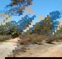 Werakata National Park - Mackay Tourism
