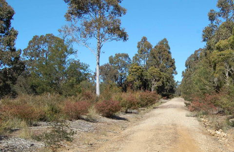 Werakata National Park - Mackay Tourism 0