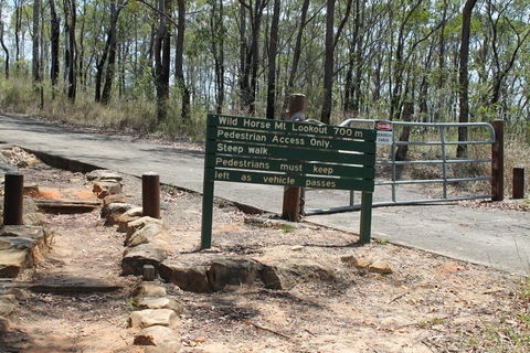 Wild Horse Mountain Lookout - Mackay Tourism 1