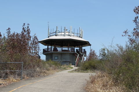 Wild Horse Mountain Lookout - Mackay Tourism 2
