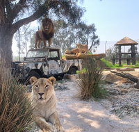 Zambi Wildlife Retreat - Mackay Tourism