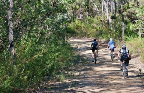 Andersons Trail - Mackay Tourism 0